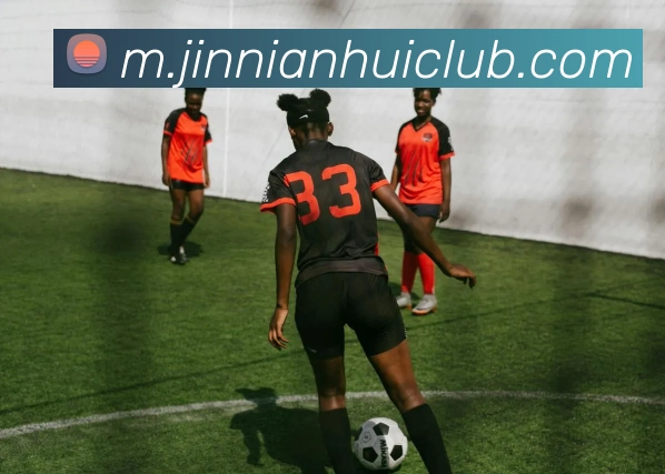 金年会APP 封面图